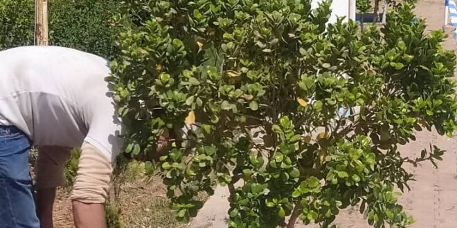 حملة  نطافة بمناسبة عيد العرش المجيد  بدوار أولاد احمد  نن نقطة سوداء  الى فضاء  اخضر