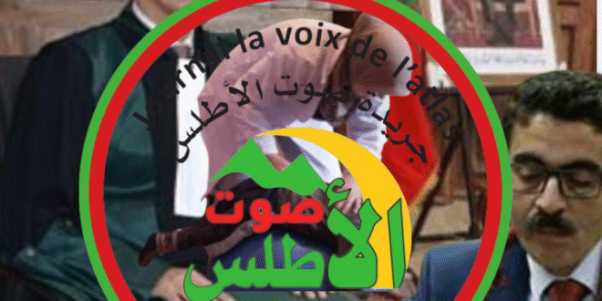 الشبكة الوطنية لحقوق الإنسان  من قلب  محكمة  ازيلال: إشعاع قضائي وإنساني  لحماية  دوي الاحتياجات الخاصة