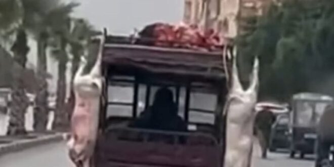 لحم فوق التريبورتو… فضيحة تهزّ السلامة الصحية وتفضح غياب المراقبة بالفقيه بن صالح تحت مجهر الشبكة الوطنية لحقوق الانسان